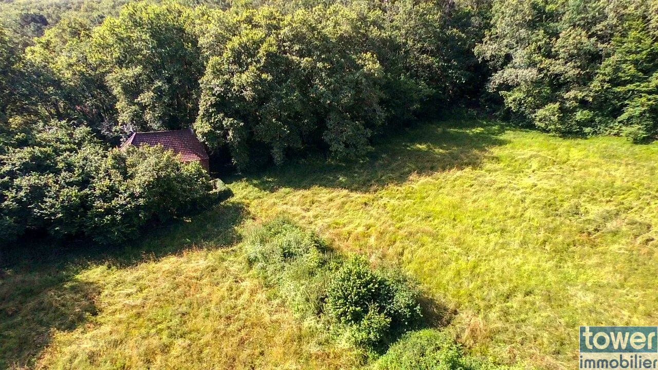 Maison quercynoise en pierre à restaurer à Montclera, calme et authenticity 