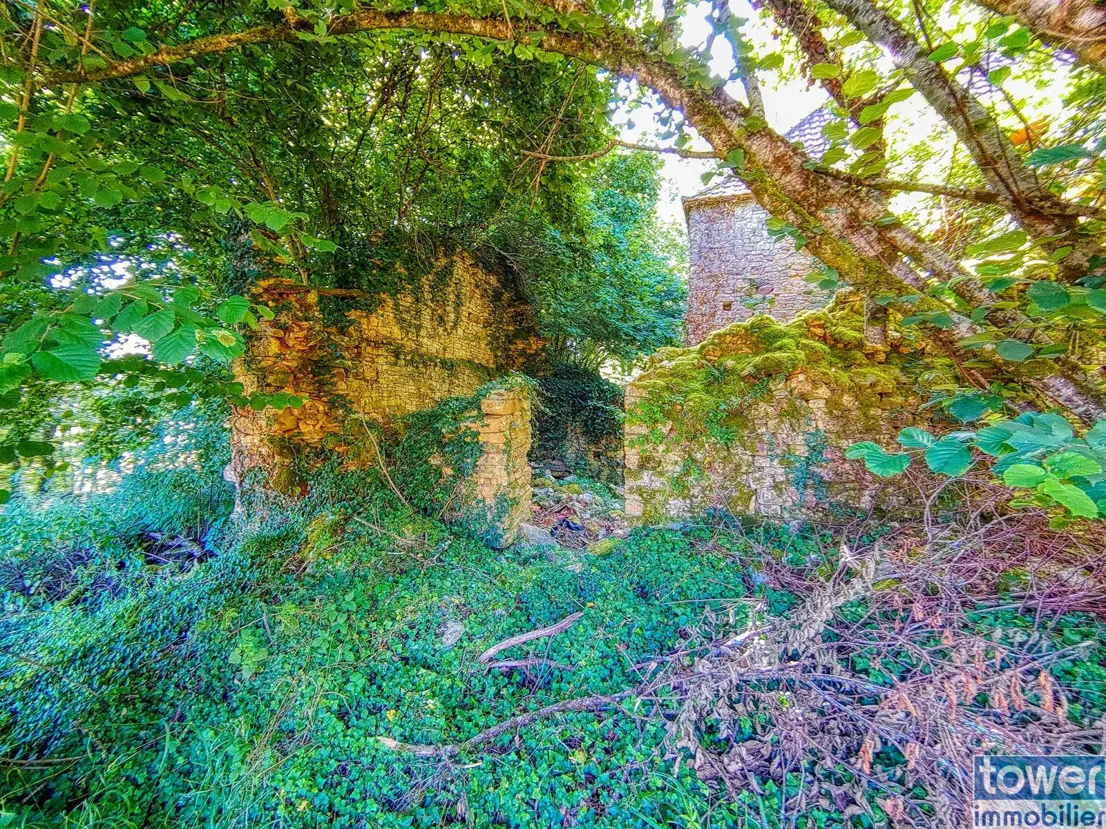Maison quercynoise en pierre à restaurer à Montclera, calme et authenticity 