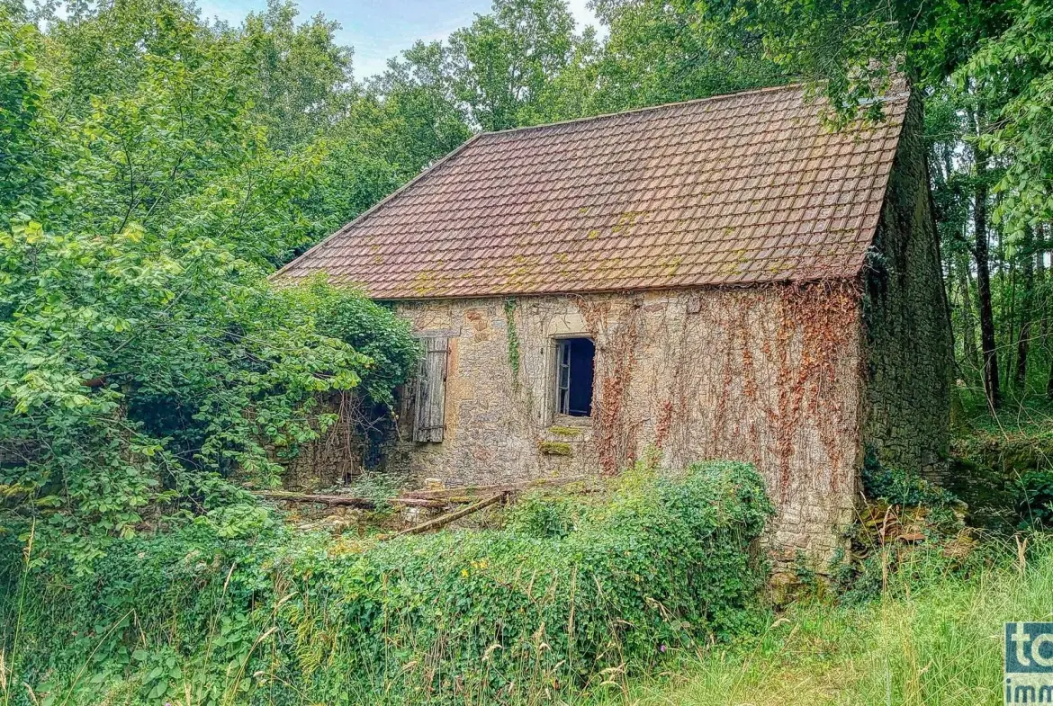 Maison quercynoise en pierre à restaurer à Montclera, calme et authenticity 
