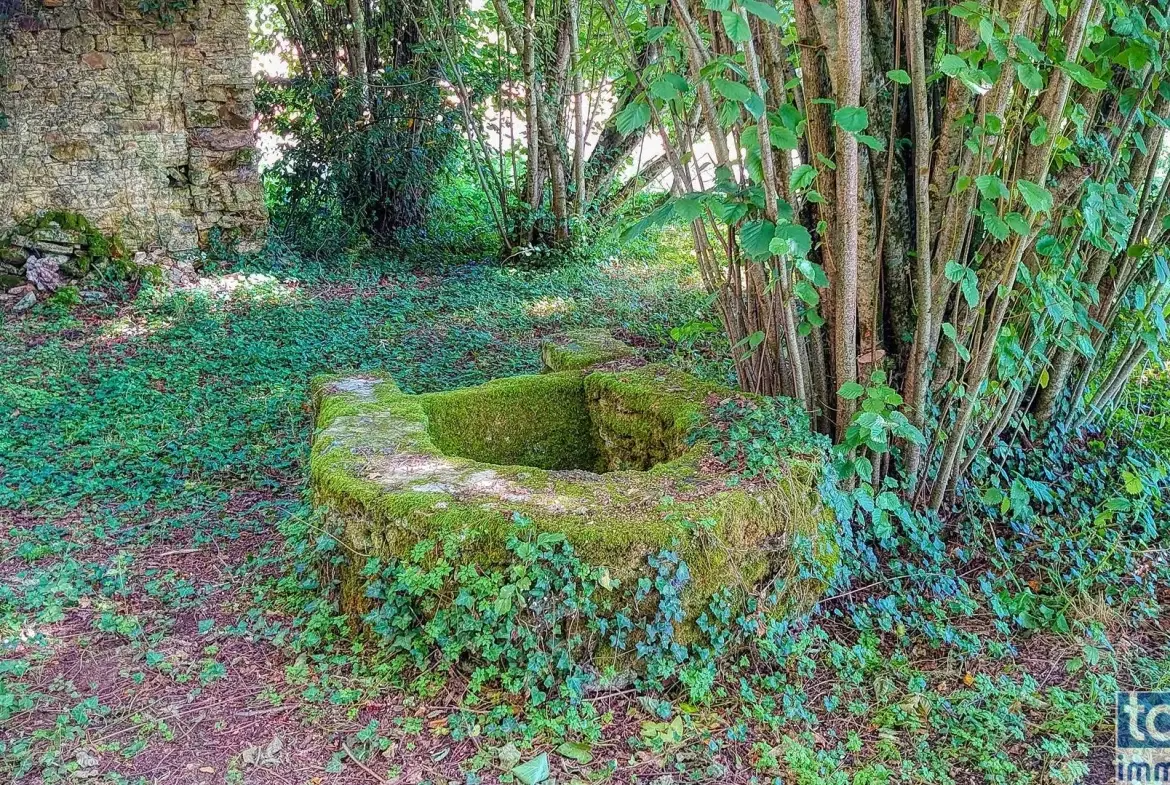 Maison quercynoise en pierre à restaurer à Montclera, calme et authenticity 