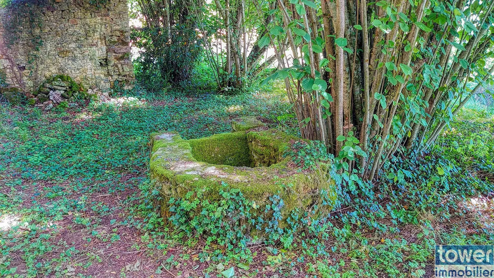 Maison quercynoise en pierre à restaurer à Montclera, calme et authenticity 