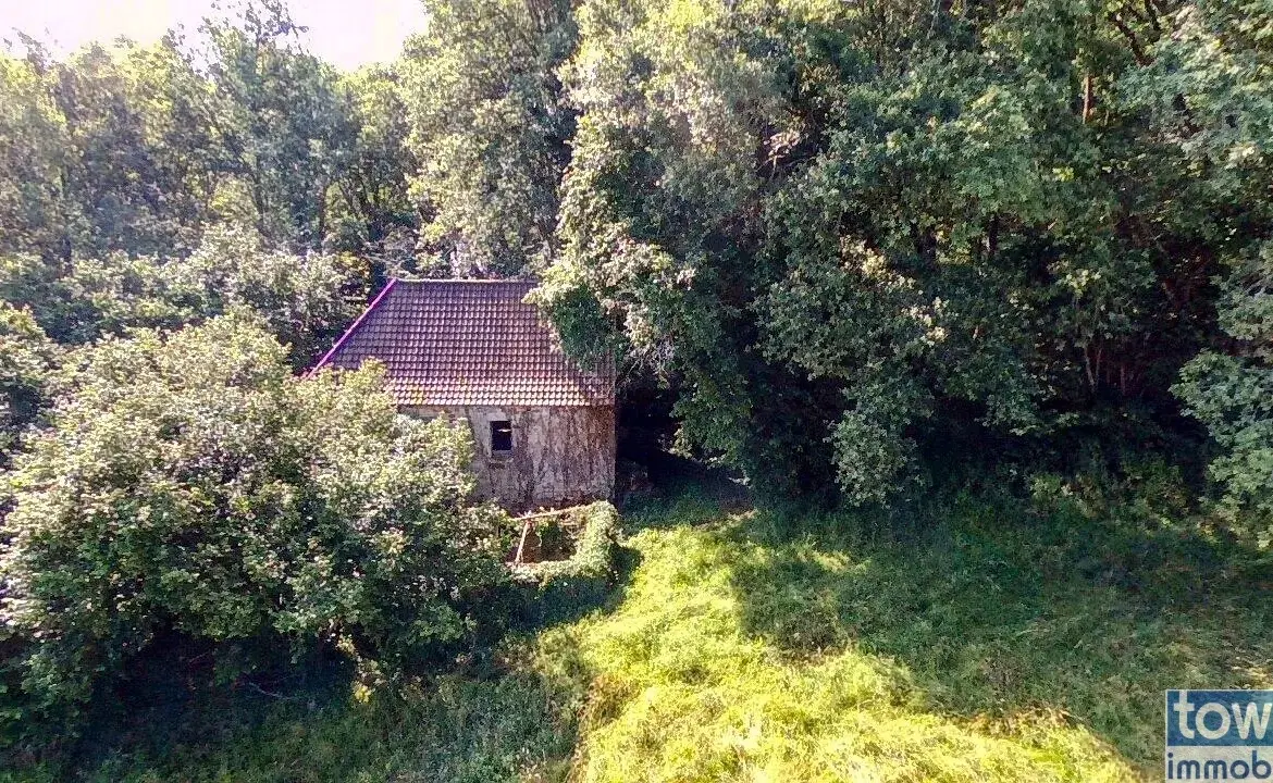 Maison quercynoise en pierre à restaurer à Montclera, calme et authenticity 