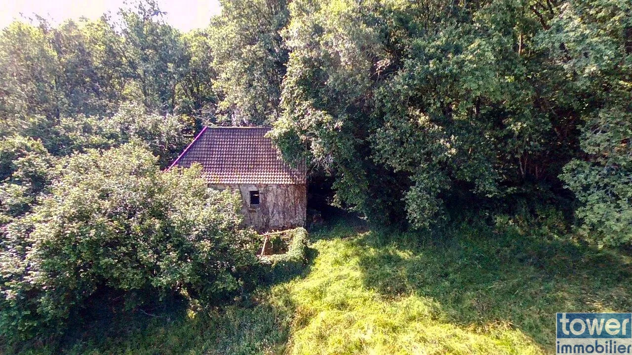 Maison quercynoise en pierre à restaurer à Montclera, calme et authenticity 