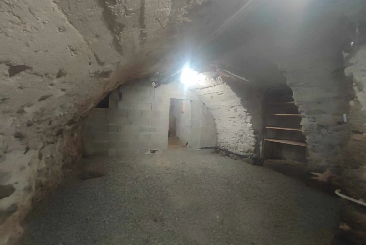 Charmante maison en pierres avec terrasse et grand terrain à Champis 