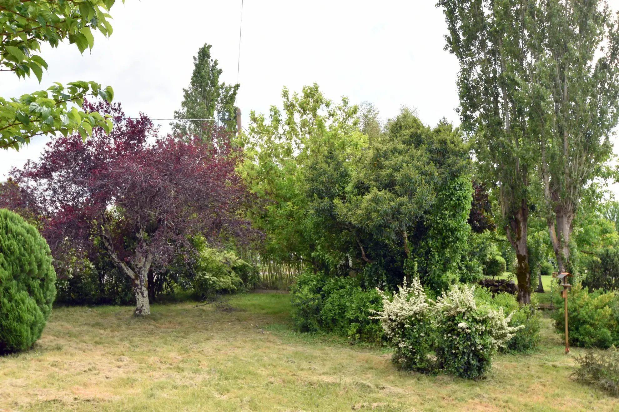 Terrain constructible de 1200 m² à Montauban, viabilisé et arboré 