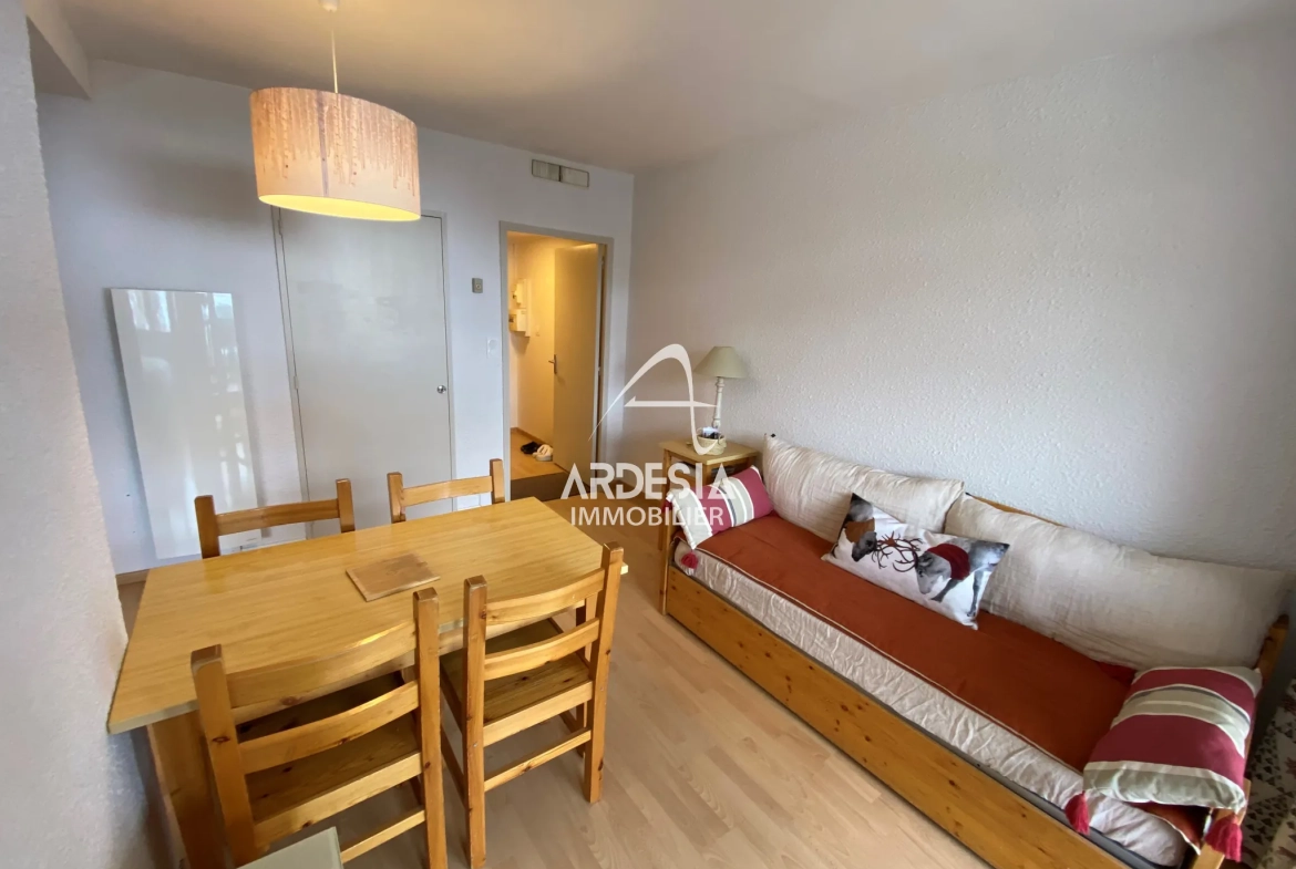 Appartement 1 pièce à vendre au cœur de la station de Saint Sorlin d'Arves 