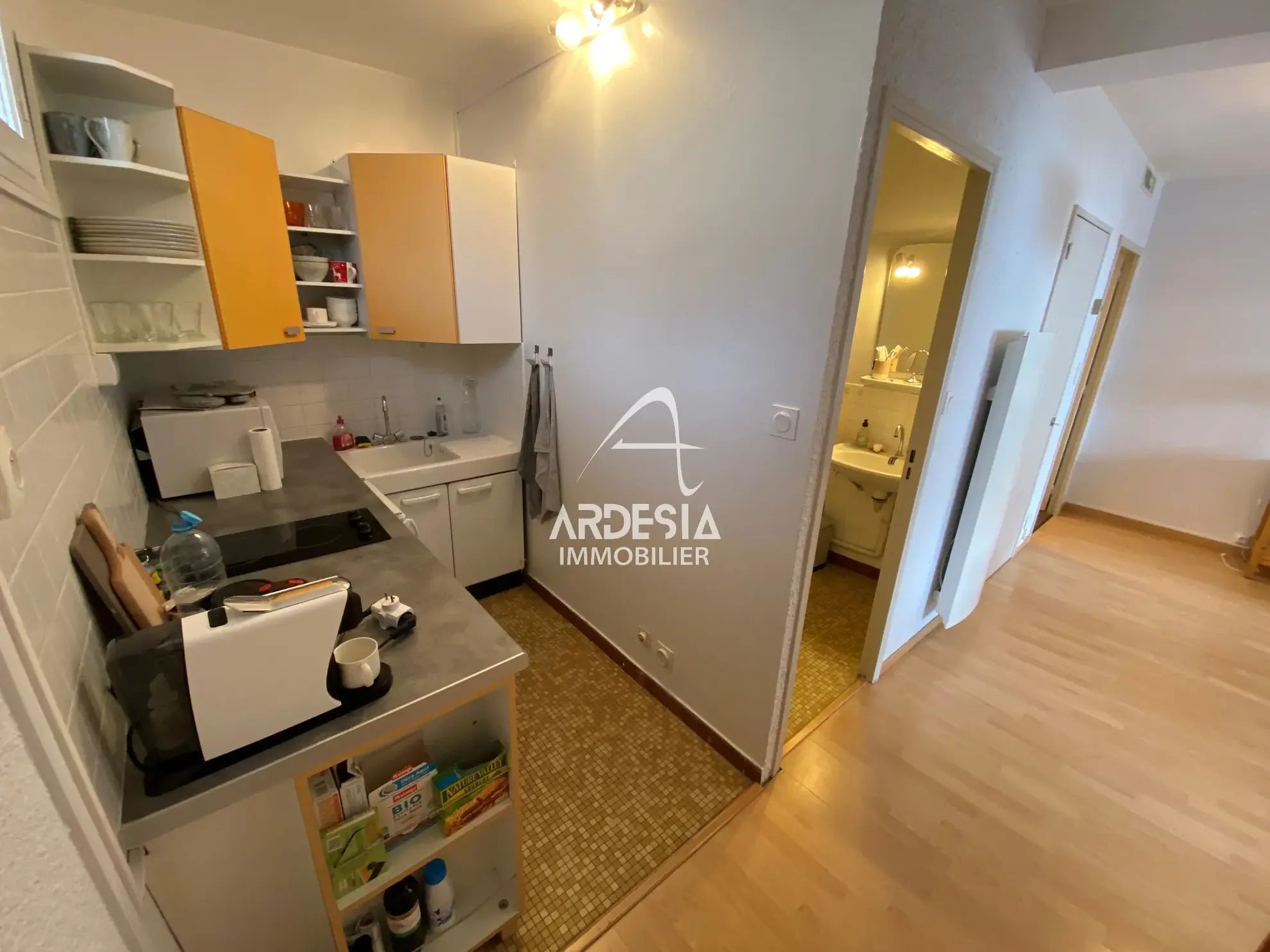Appartement 1 pièce à vendre au cœur de la station de Saint Sorlin d'Arves 