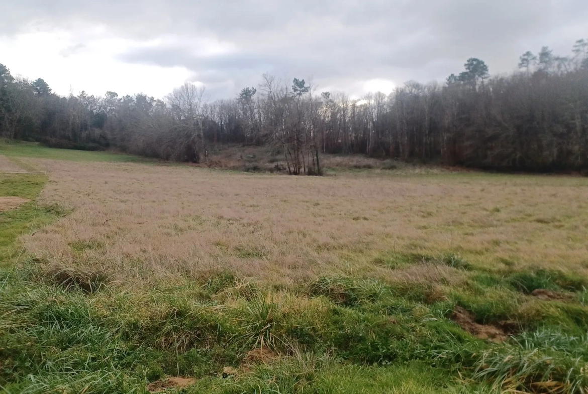 Terrain constructible de 4000 m² à Carsac-Aillac proche Sarlat 