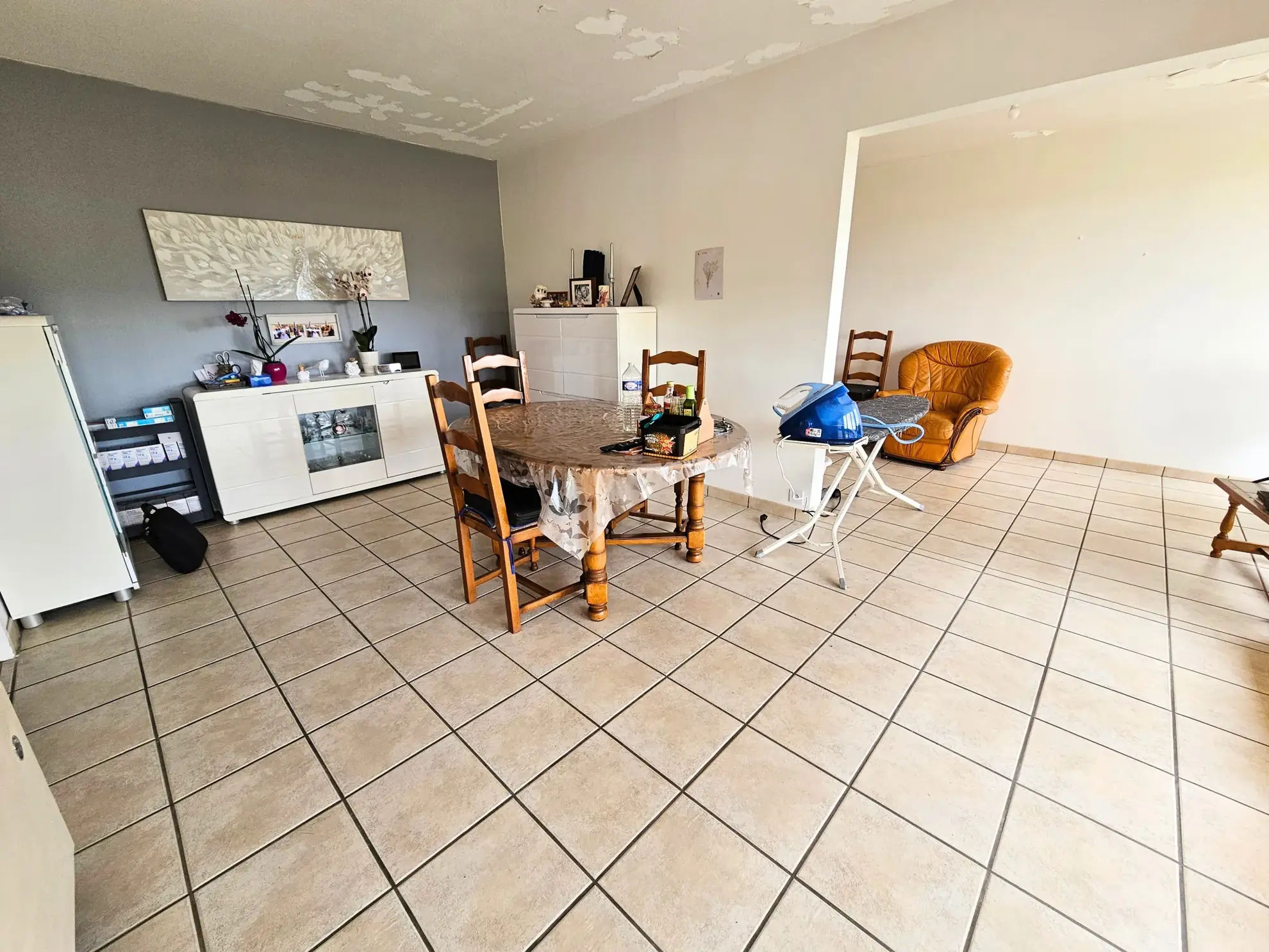 Bel appartement T3 lumineux de 77,91 m² à Roanne, idéalement situé 