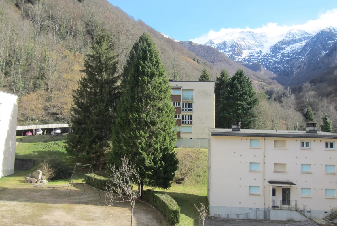 Appartement T2 à Salau au pied des montagnes, idéal résidence secondaire ou investissement 