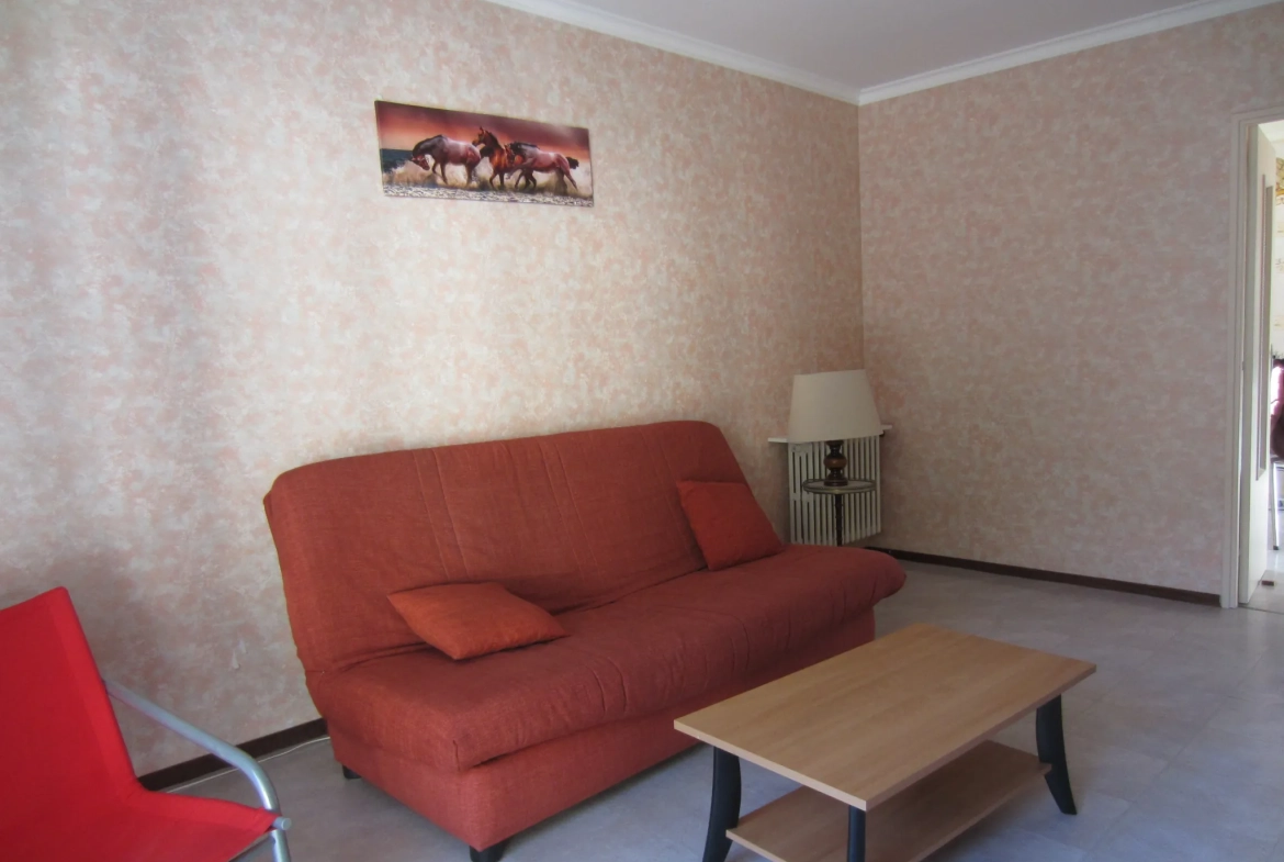 Appartement T2 à Salau au pied des montagnes, idéal résidence secondaire ou investissement 