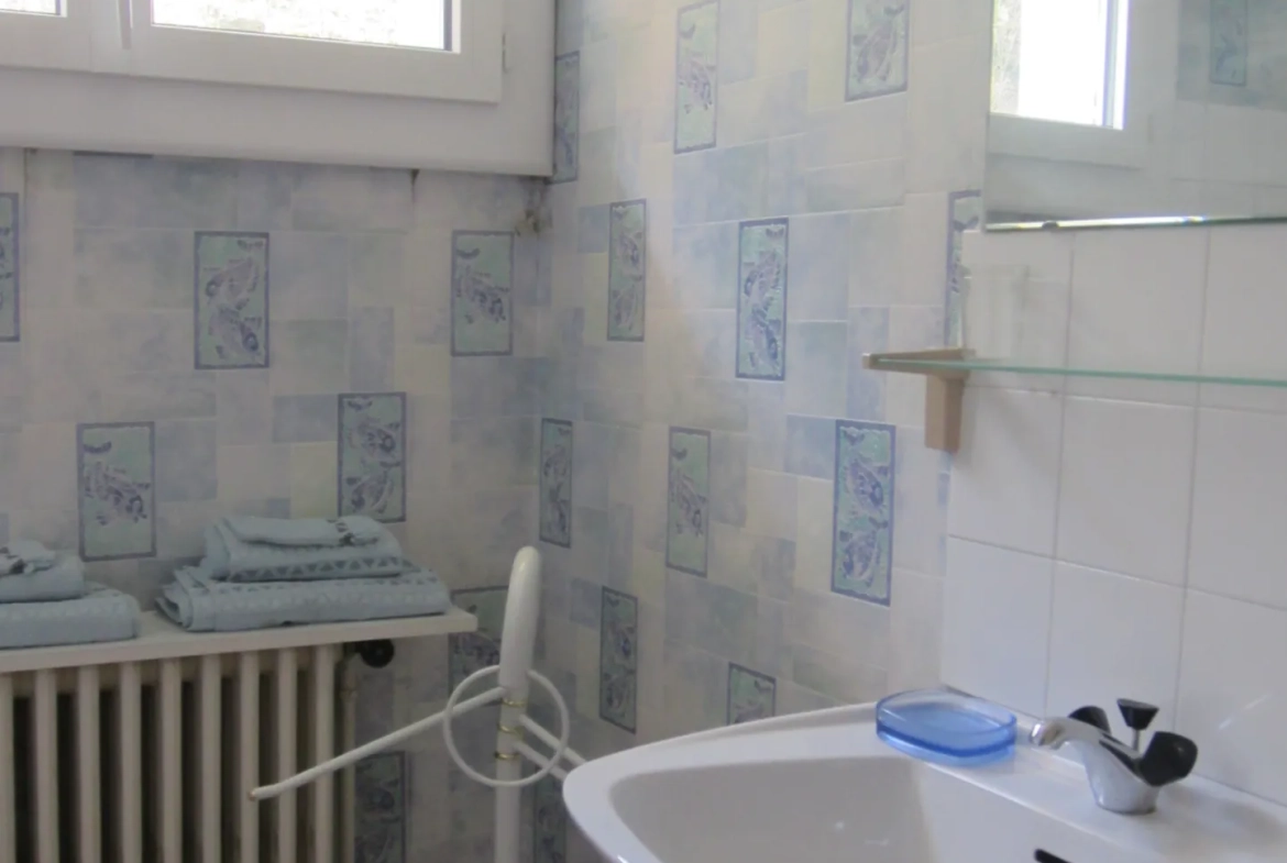 Appartement T2 à Salau au pied des montagnes, idéal résidence secondaire ou investissement 