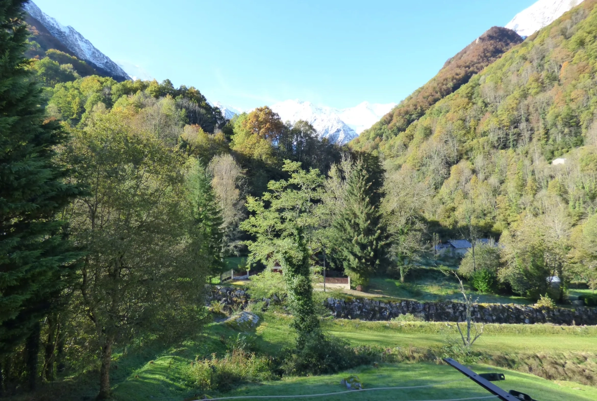 Appartement T2 à Salau au pied des montagnes, idéal résidence secondaire ou investissement 