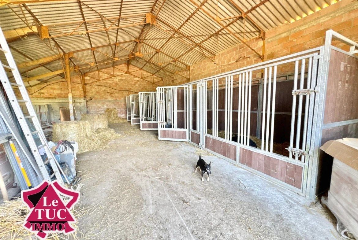 Grande ferme familiale avec dépendances, idéalement située à Brassac en Tarn-et-Garonne 