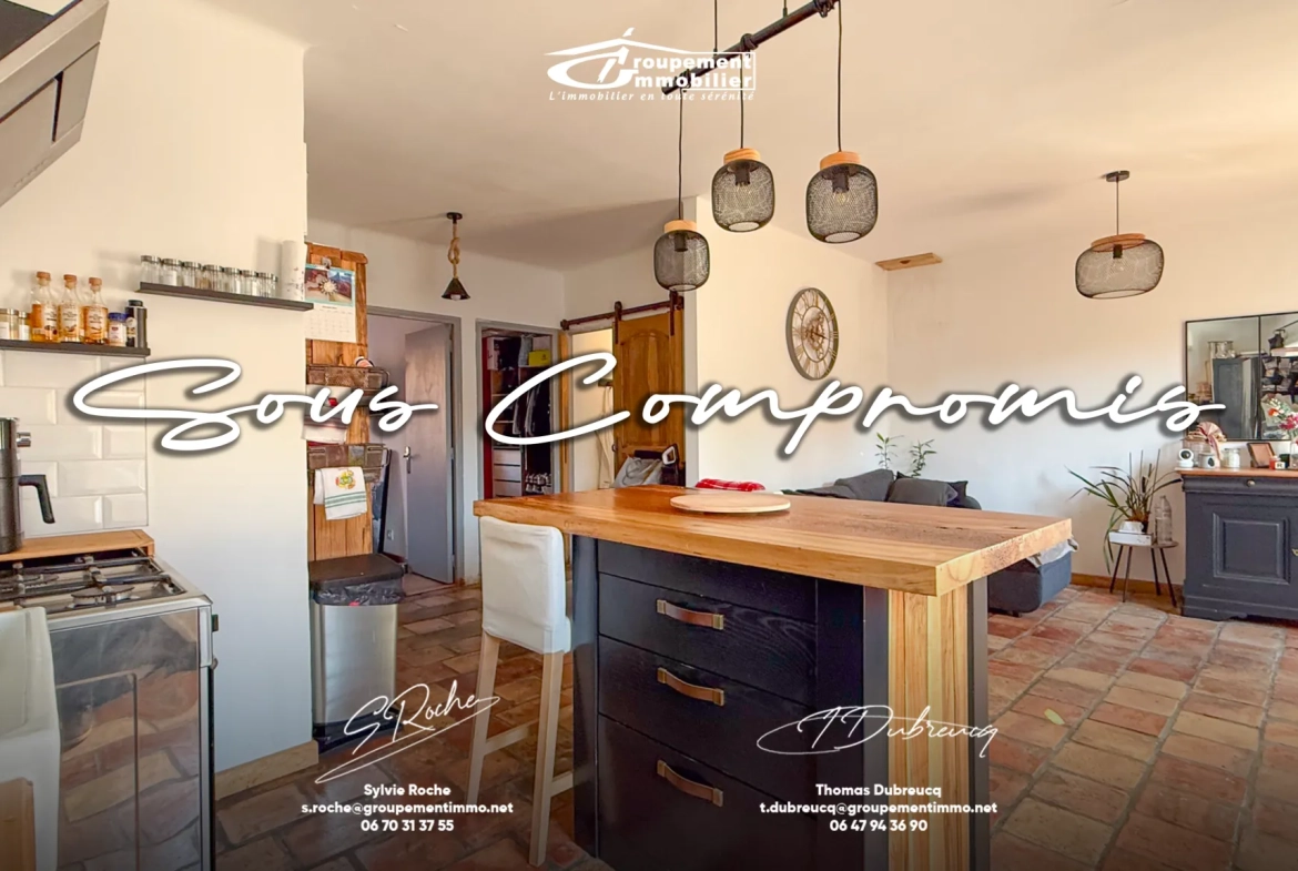 Charmante maison de village avec garage et jardin à Caderousse 