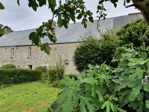 Grande maison en pierre du XIIIe siècle à rénover avec potentiel à Clitourps (50330)