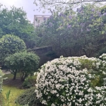 Studio à vendre dans le 13e à Paris avec jardin et faible consommation énergétique
