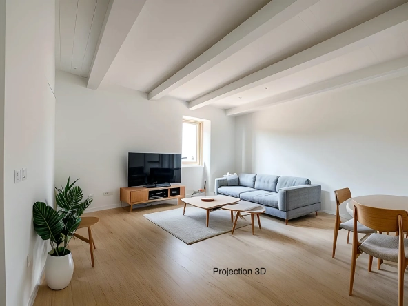Appartement T2 avec pièce annexe de 24 m² à Millau, centre-ville