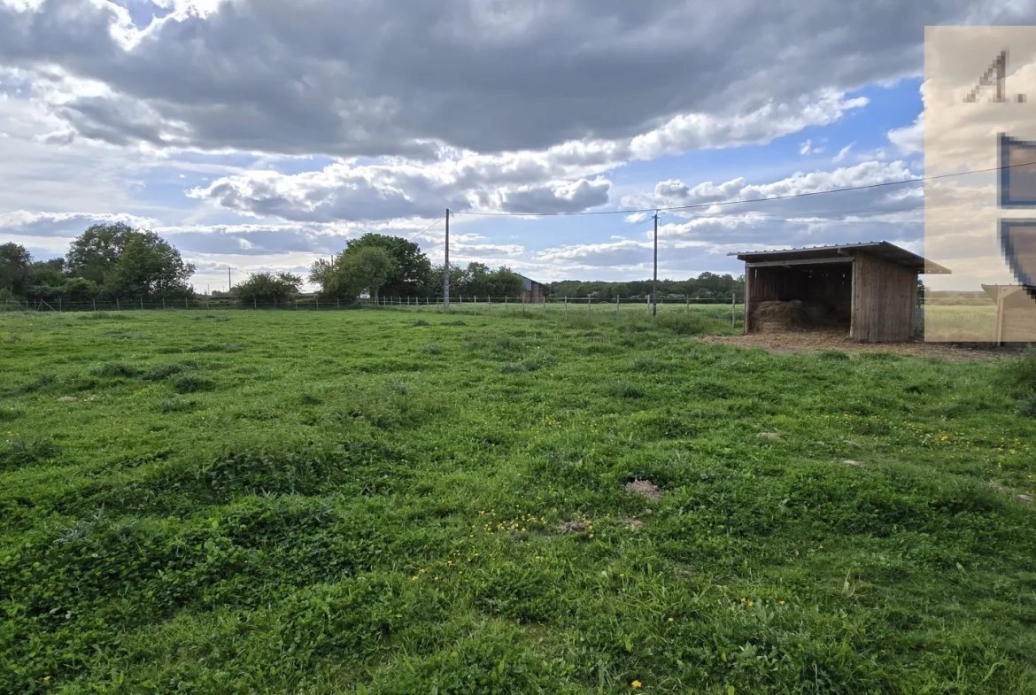 Charmante longère avec prairie, dépendance et jardin à vendre à Vendôme 