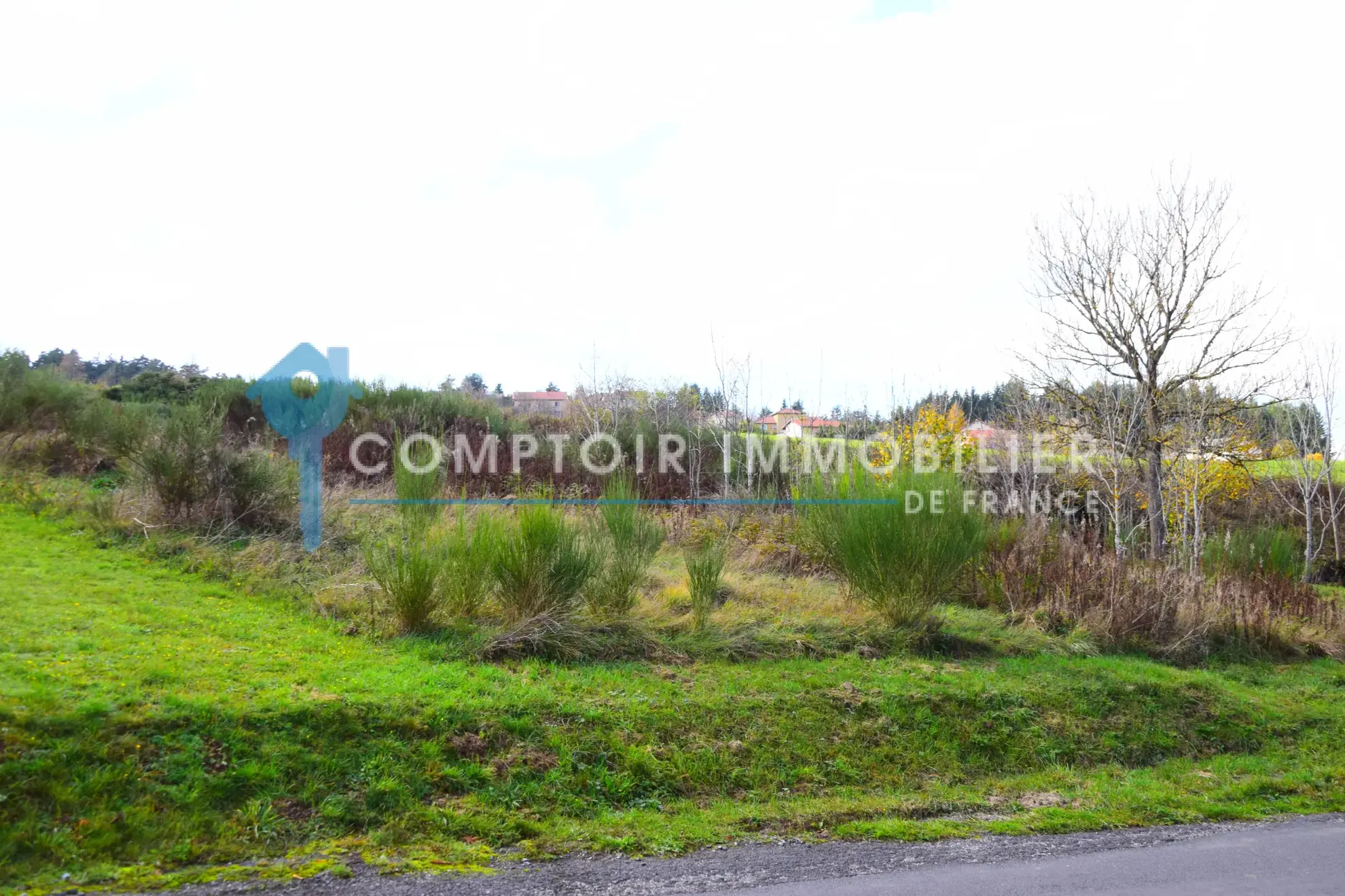 Terrain constructible de 900 m² à Coucouron, Ardèche - Opportunité rare 
