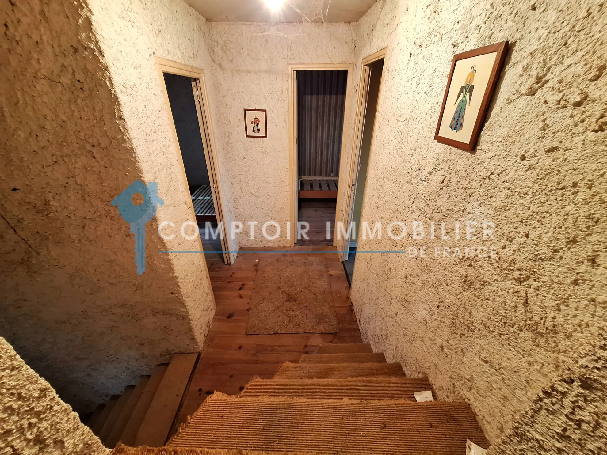 Charmante maison ancienne à rénover de 142 m² avec grand jardin à Puylaurens 