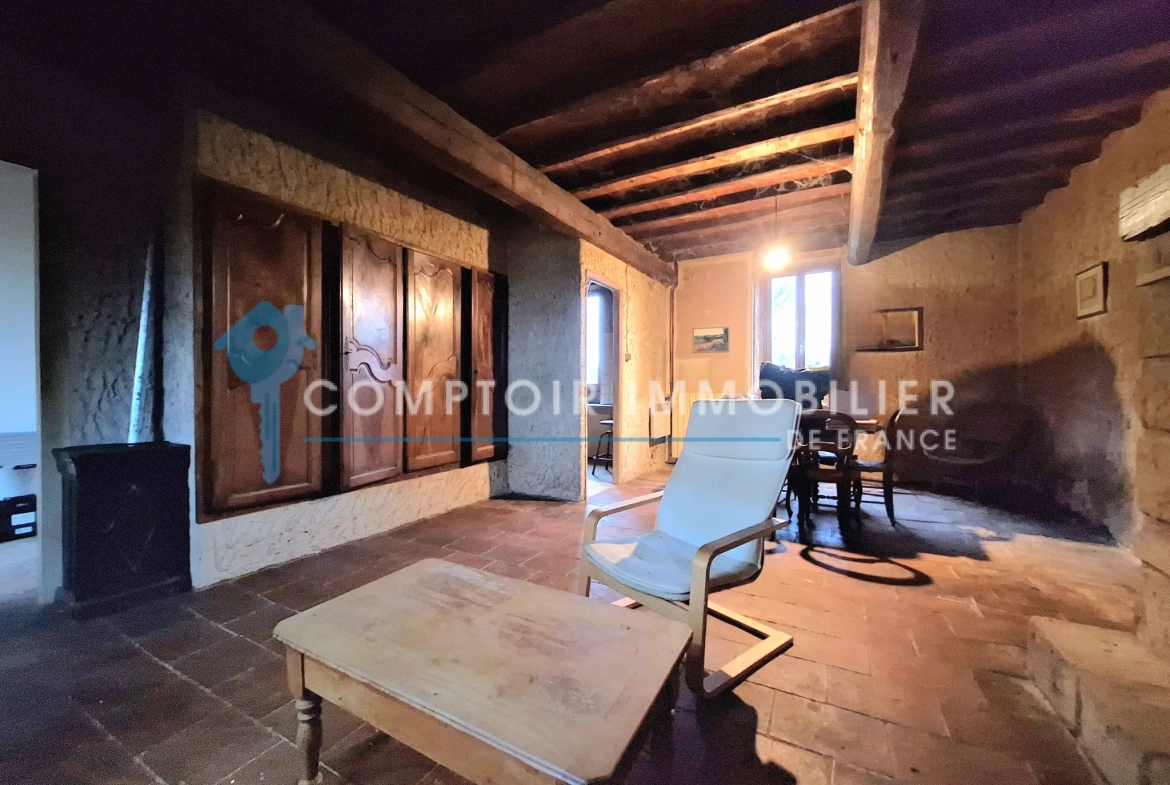 Charmante maison ancienne à rénover de 142 m² avec grand jardin à Puylaurens 