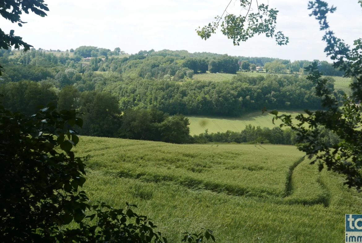 Charmante maison en pierre avec dépendance, piscine et grand terrain à Sigoules 