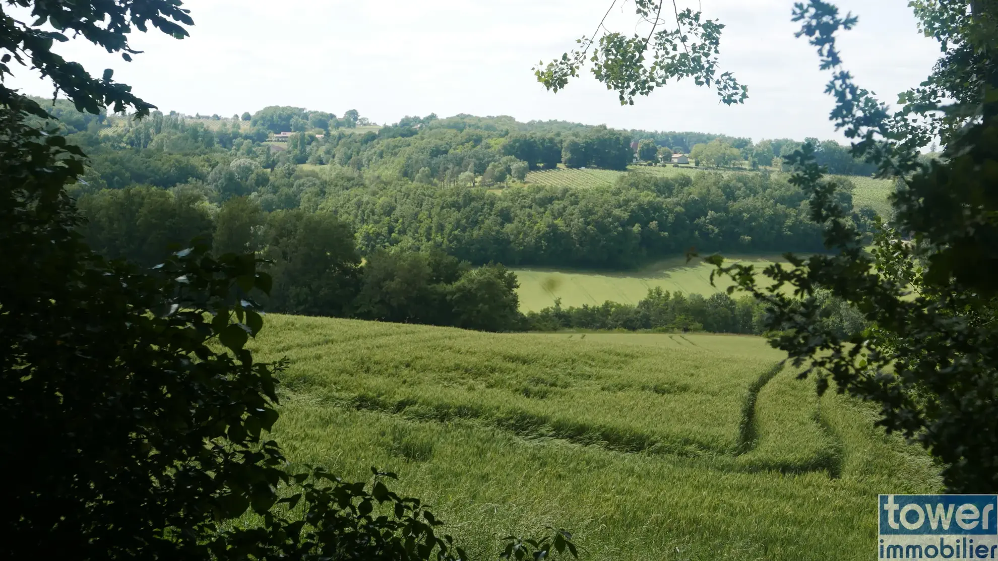 Charmante maison en pierre avec dépendance, piscine et grand terrain à Sigoules 