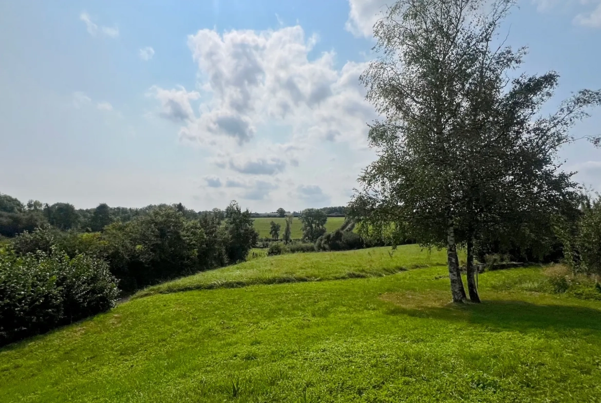Maison rénovée avec sous-sol total, grand terrain et potentiel de suite parentale à Angely 