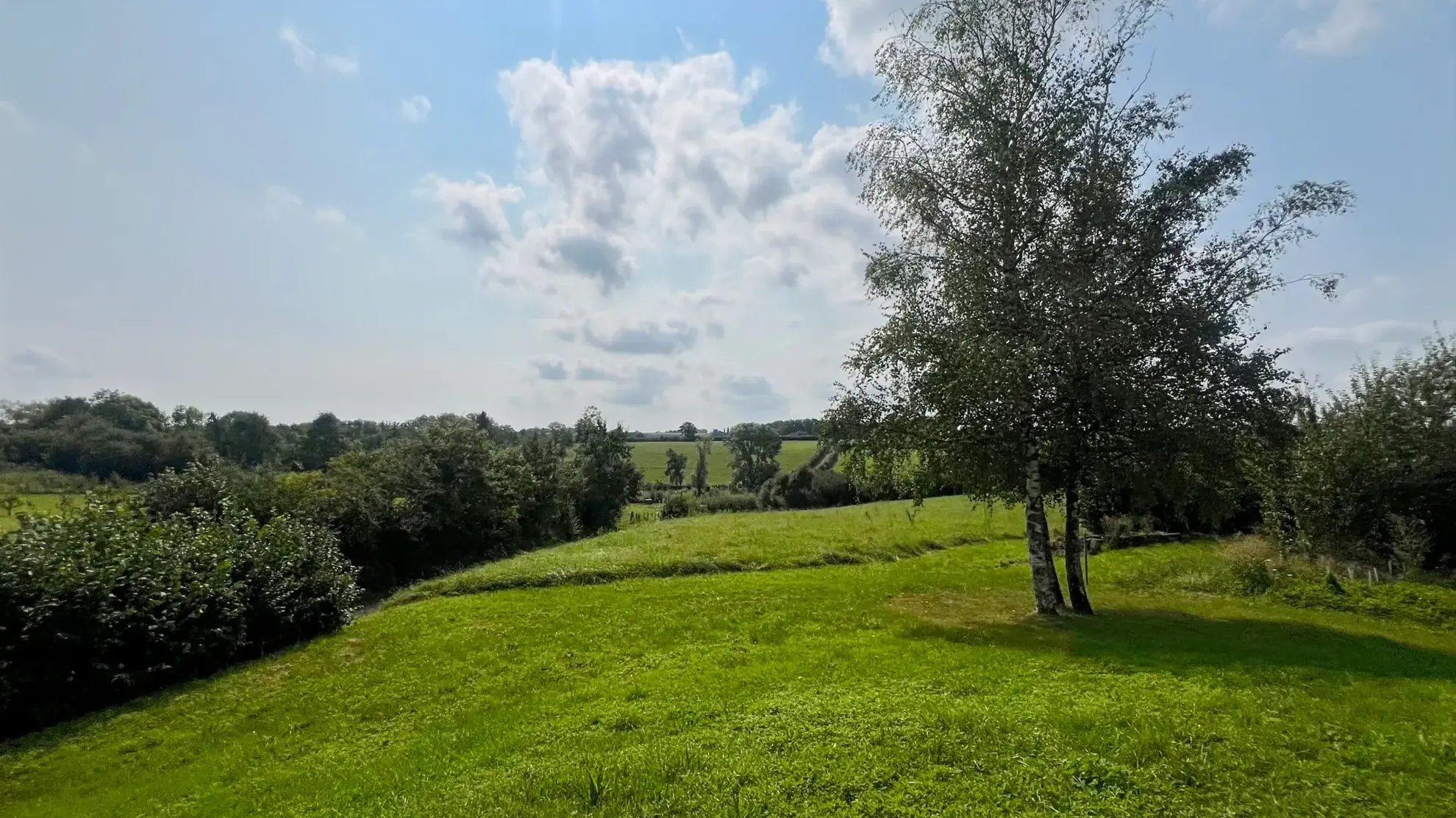 Maison rénovée avec sous-sol total, grand terrain et potentiel de suite parentale à Angely 