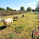 Maison de 91 m2 avec terrain à Fayl Billot, proche commodités