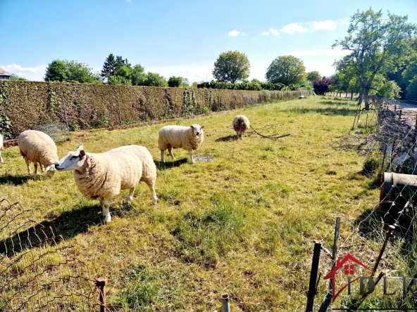 Maison de 91 m2 avec terrain à Fayl Billot, proche commodités