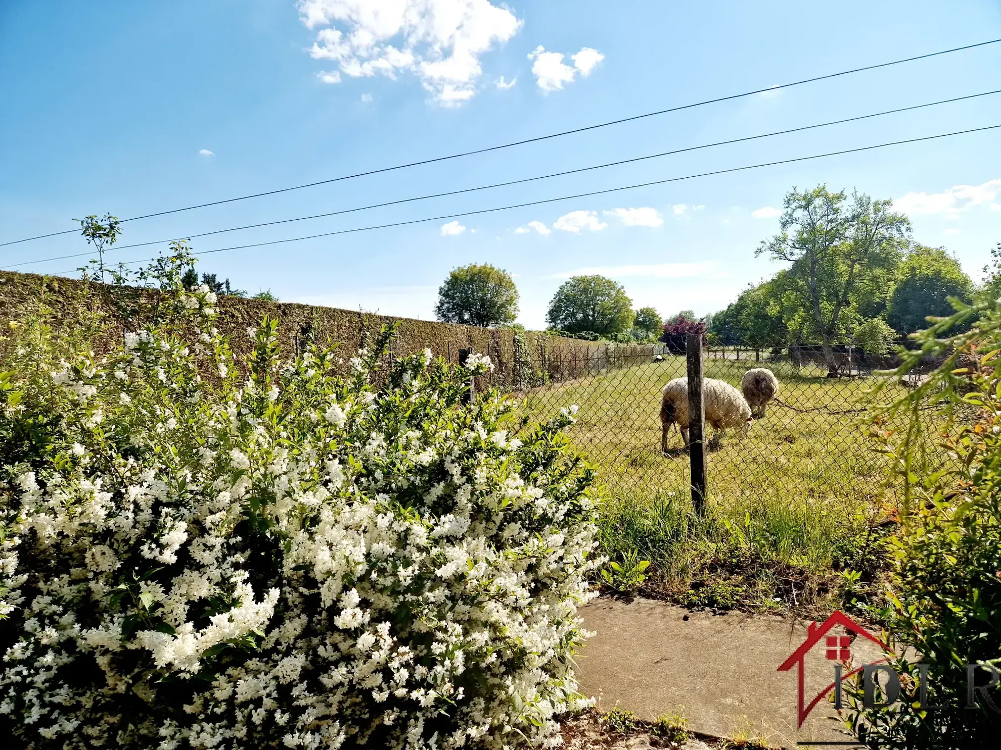 Maison de 91 m2 avec terrain à Fayl Billot, proche commodités 