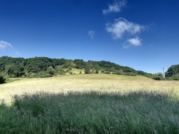 Ancienne ferme en Dordogne avec terrain de 34 hectares à restaurer