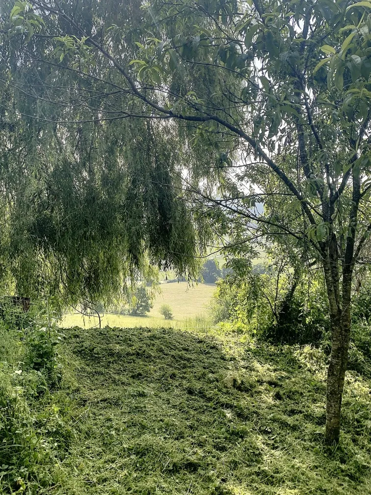 Ancienne ferme en Dordogne avec terrain de 34 hectares à restaurer 