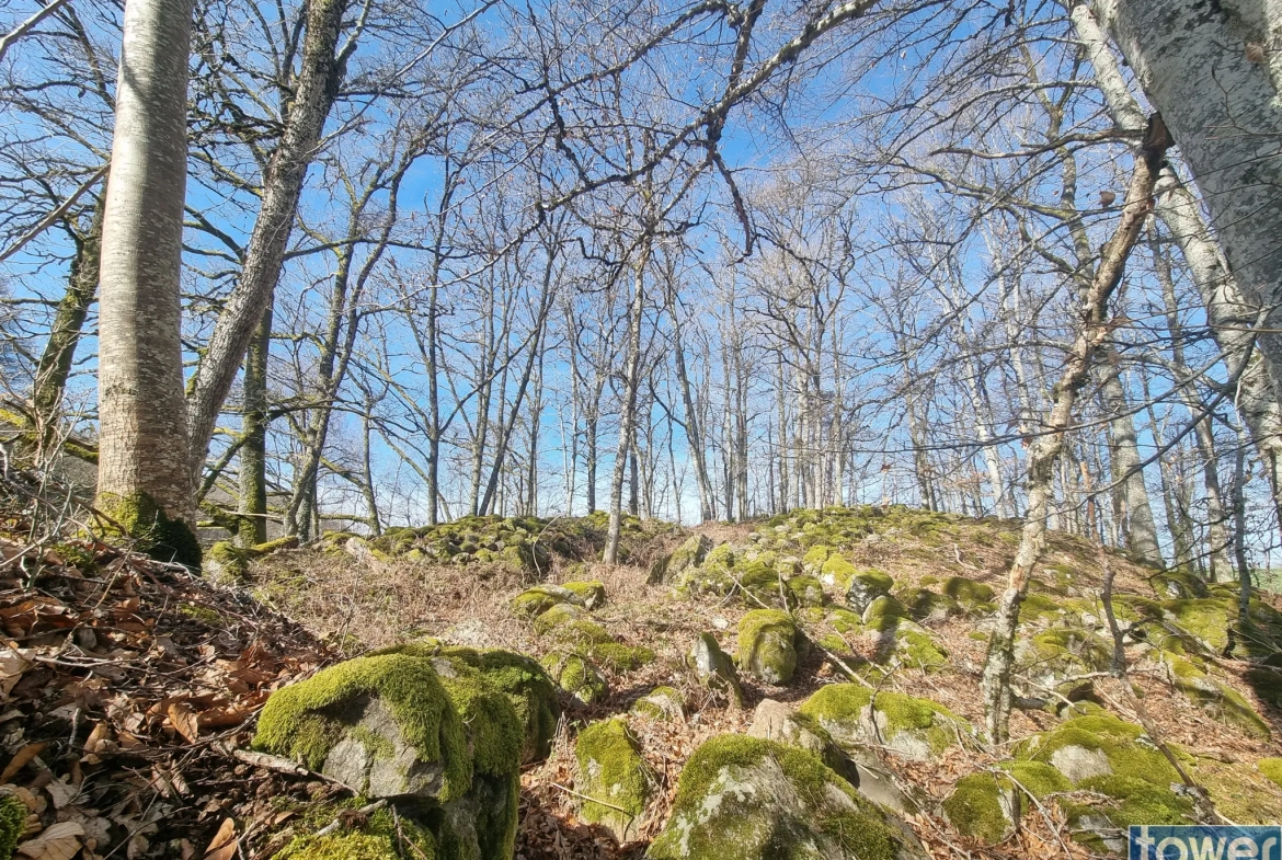 Belle longère de 140 m² avec terrain de 3,5 hectares à Cros 