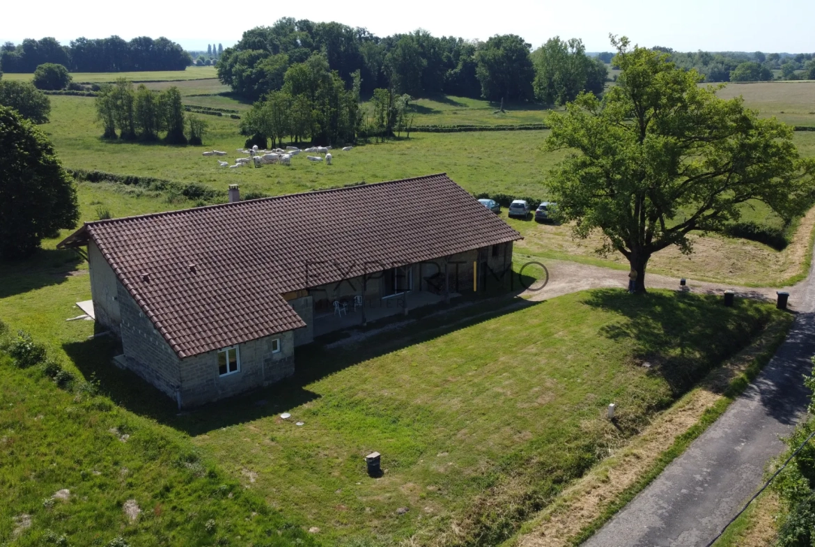 Ferme bressane rénovée en 2023 de 240 m² avec terrain de 2000 m² 