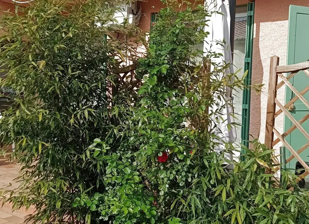Maison familiale avec 4 chambres au Boulou à vendre à 248 000 euros 