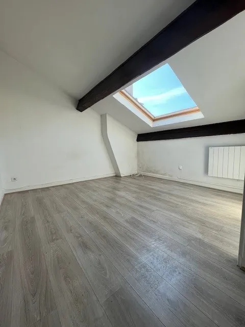 Appartement 2 pièces avec cachet à Villeurbanne, proche Montchat et tramway 