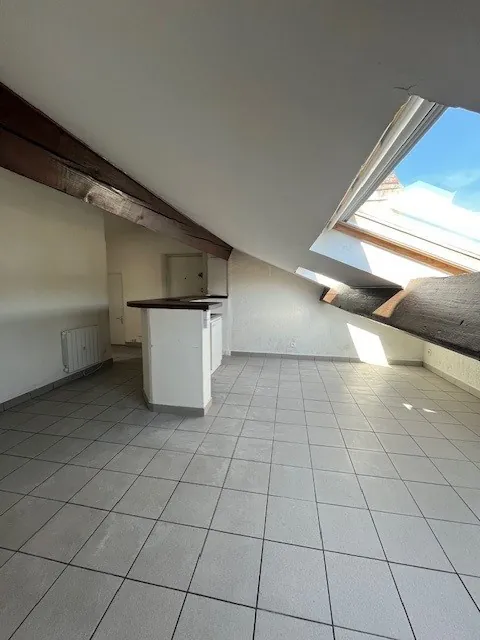 Appartement 2 pièces avec cachet à Villeurbanne, proche Montchat et tramway 