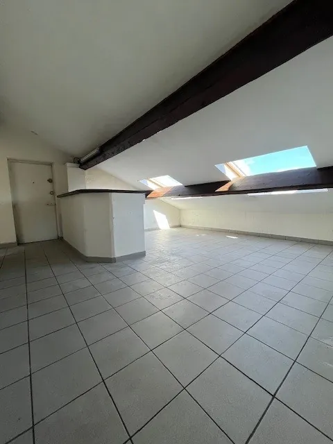 Appartement 2 pièces avec cachet à Villeurbanne, proche Montchat et tramway 