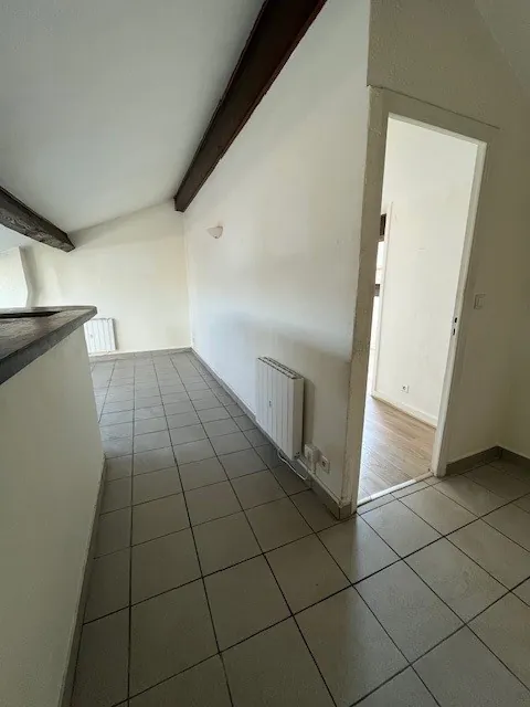 Appartement 2 pièces avec cachet à Villeurbanne, proche Montchat et tramway 