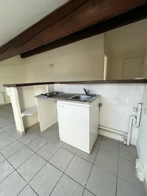 Appartement 2 pièces avec cachet à Villeurbanne, proche Montchat et tramway 