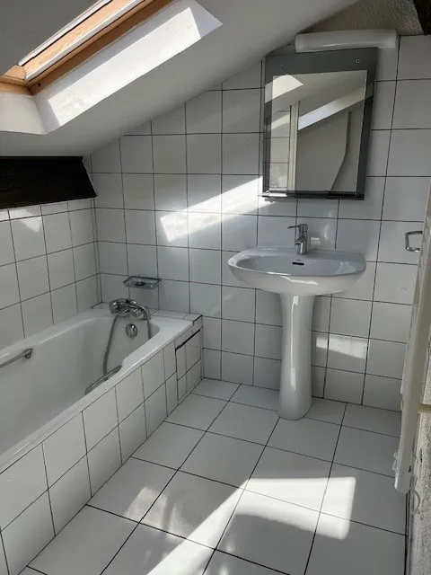 Appartement 2 pièces avec cachet à Villeurbanne, proche Montchat et tramway 