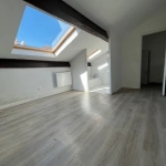 Appartement 2 pièces avec cachet à Villeurbanne, proche Montchat et tramway