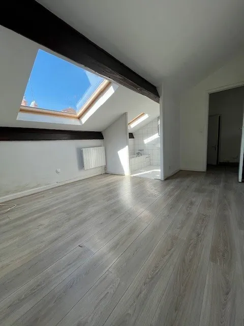 Appartement 2 pièces avec cachet à Villeurbanne, proche Montchat et tramway