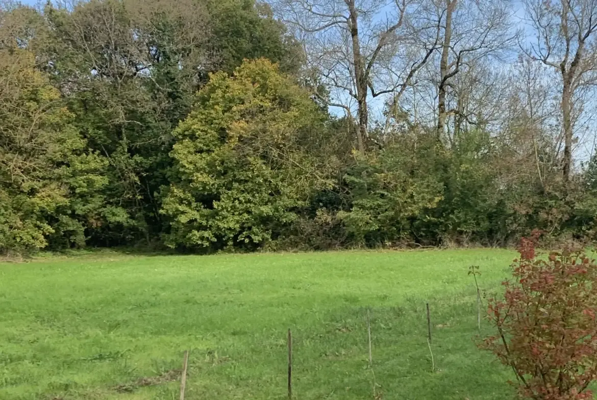 Terrain à bâtir de 1684 m² à Mons - Terrain non viabilisé à vendre 
