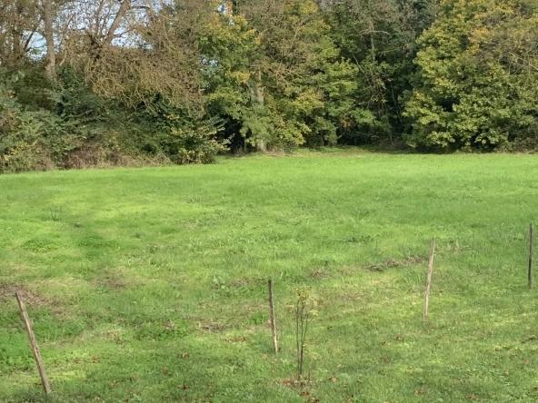 Terrain à bâtir de 1684 m² à Mons - Terrain non viabilisé à vendre