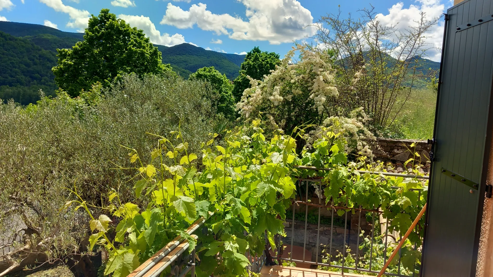 Grande maison avec appartement et vue panoramique à Le Poujol-sur-Orb 