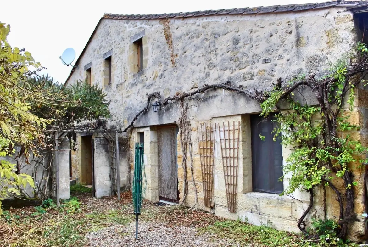 Maison en pierre avec gîte, piscine et grand jardin à Minzac 24610 
